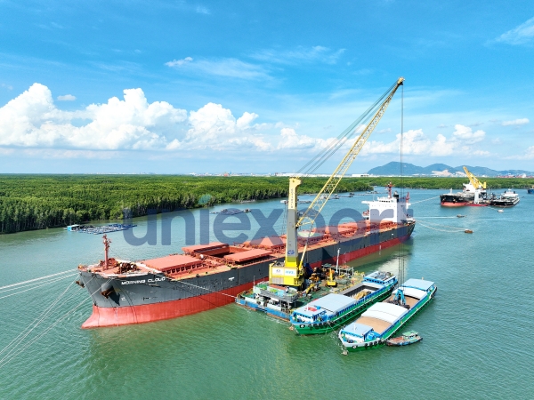 Vận chuyển linh hoạt